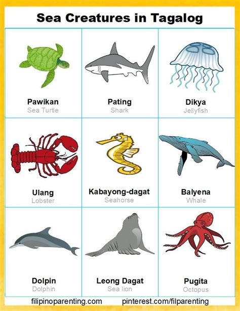 Tagalog lessons: Ocean animals and fish .